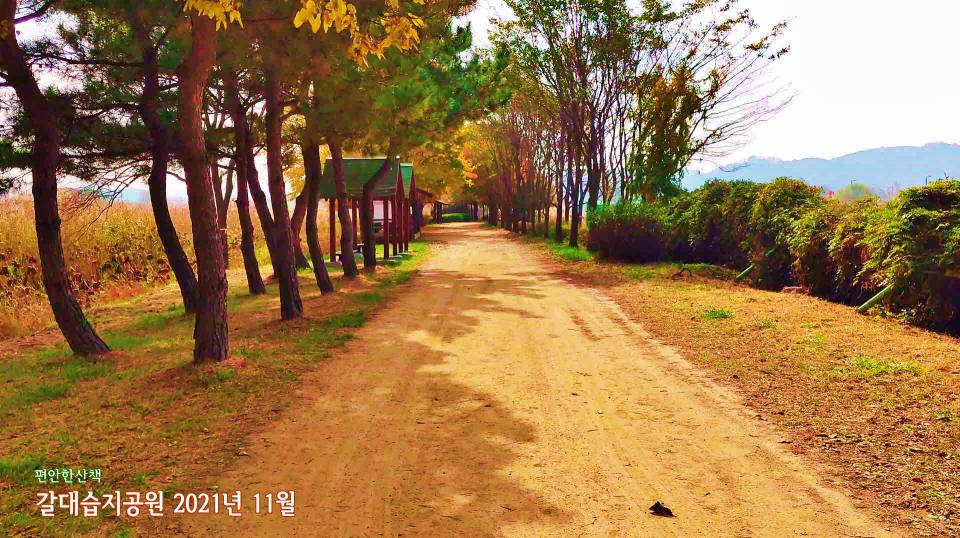 안산 갈대습지 물소리길