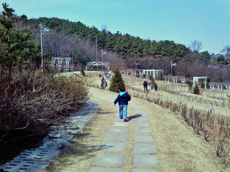 노적봉 장미원 산책로