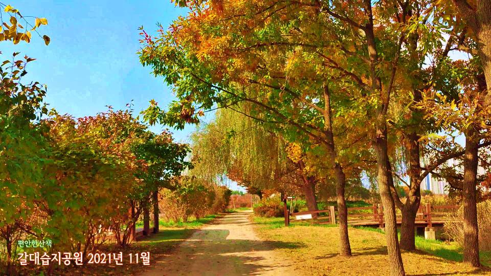 안산 갈대습지 물소리길