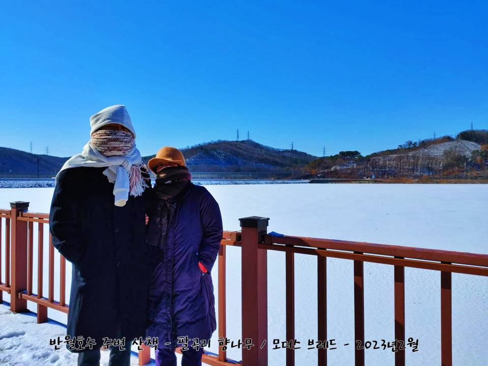 겨울 눈내리고 얼어붙은 반월호수 산책로