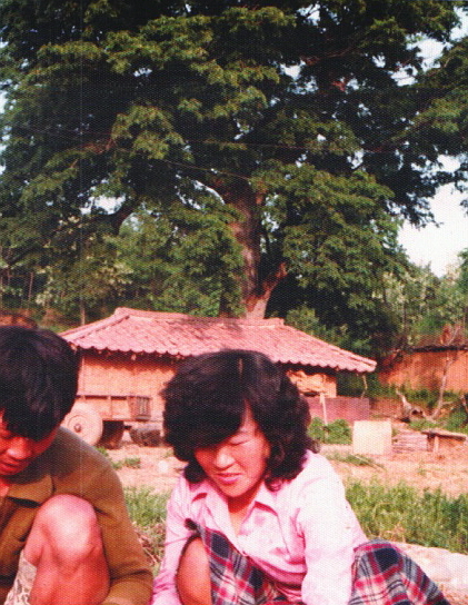 성호이익 생가 성호장터