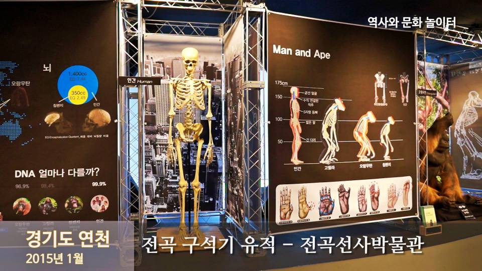 선사박물관 전시