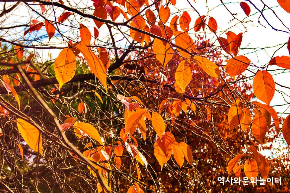성호공원 가을풍경