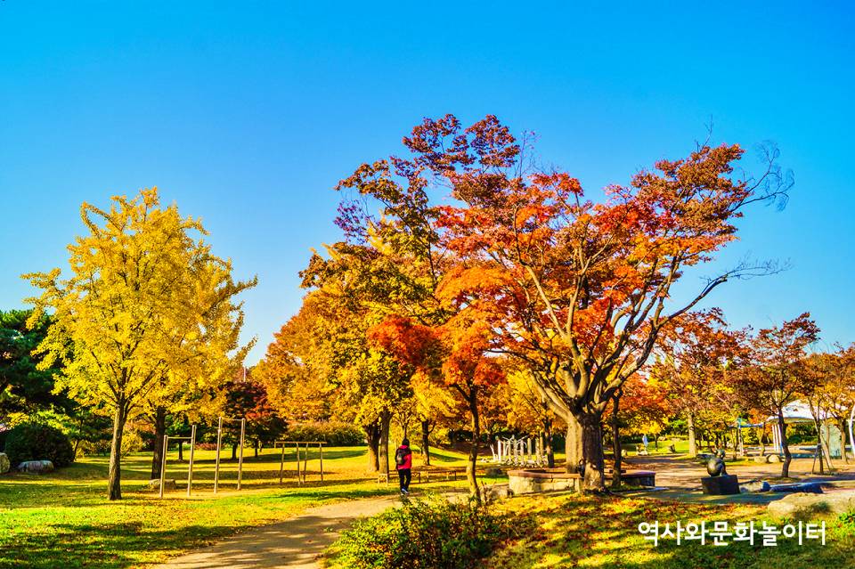 성호공원 느티나무