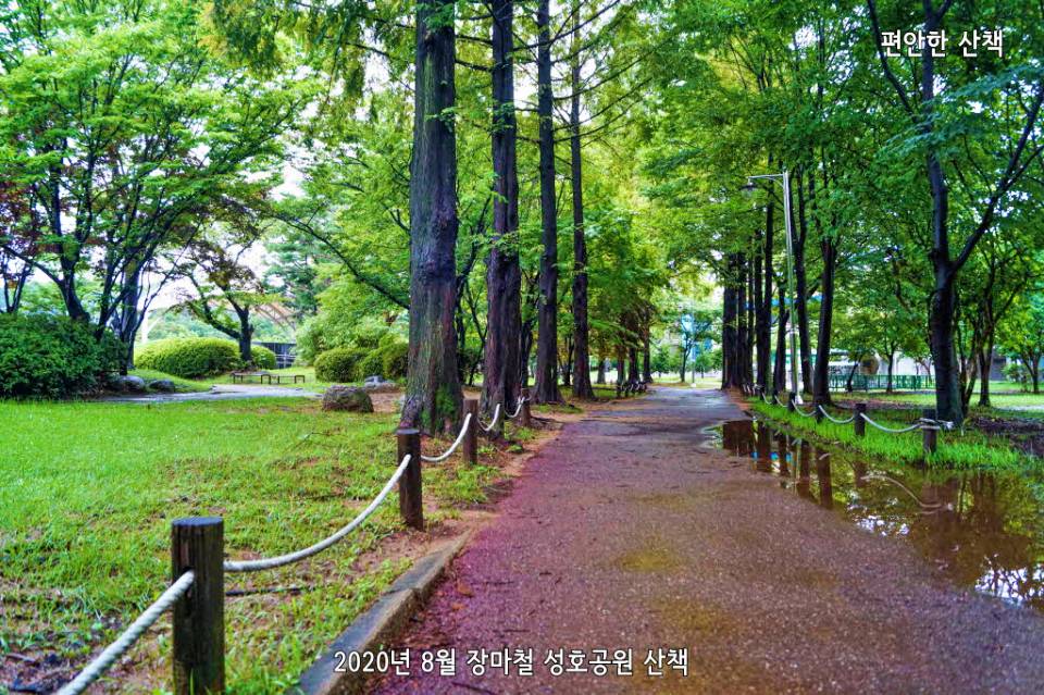 안산 성호공원 산책로