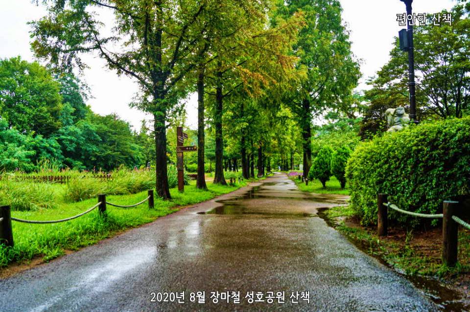 비오는 성호공원 산책로