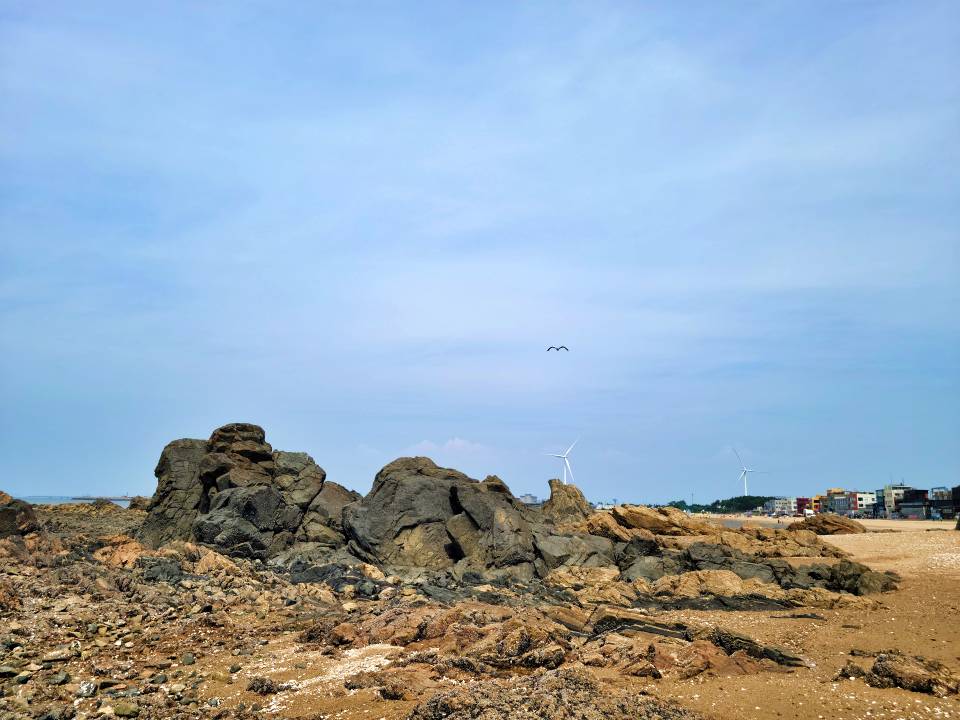 대부도 홀리데이 캠핑장 부근 바위